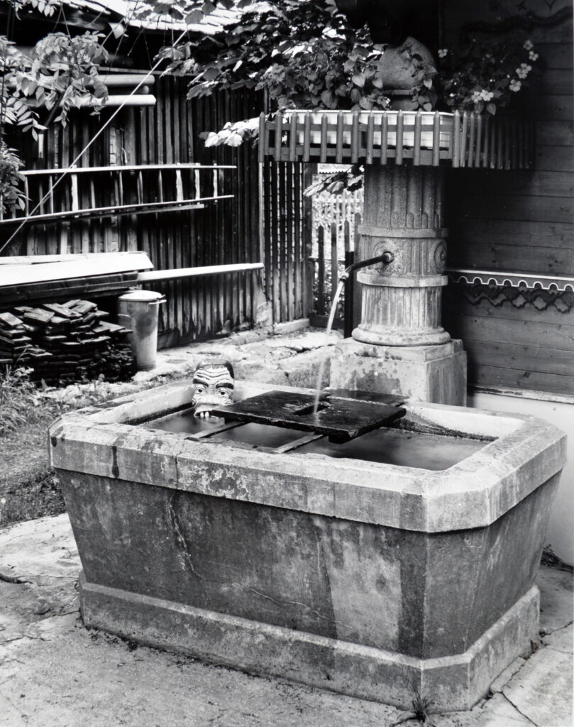 Aufnahme des Brunnens, der im Hof der Villa Moosmatt stand (Quelle: Stadtarchiv Luzern: F2a/MOOSMATTSTR. 27).