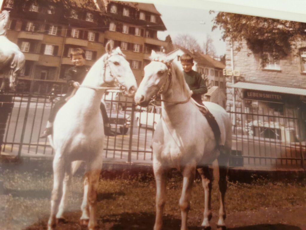 Für Kinder der Pferdehimmel an der Moosmattstrasse. (Quelle: facebook)